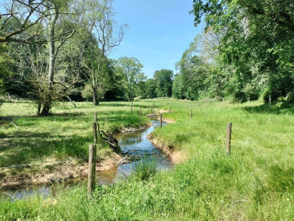 Photo Génie écologique Matthieu Le Meur